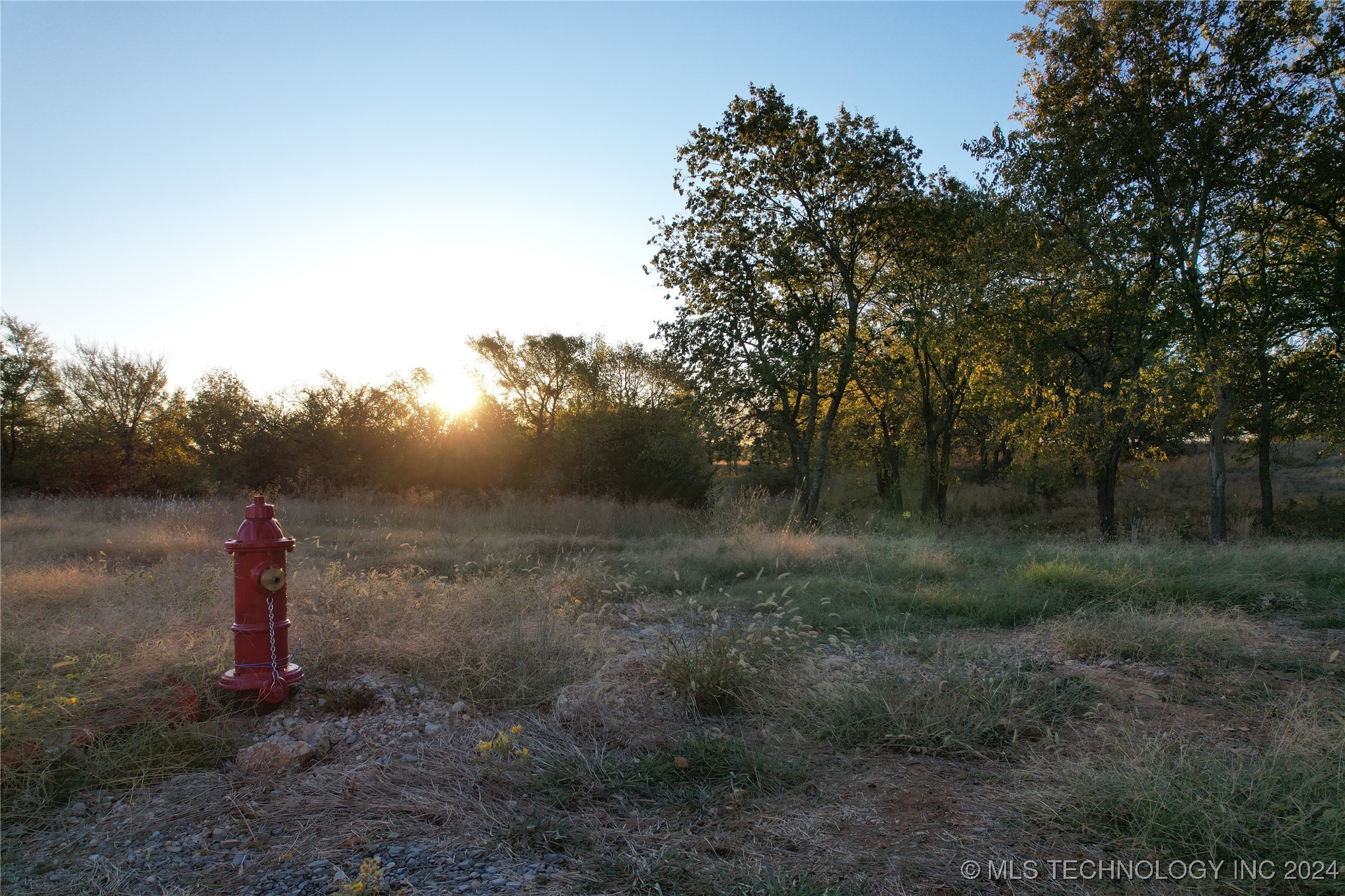 14196 County Road 1567
