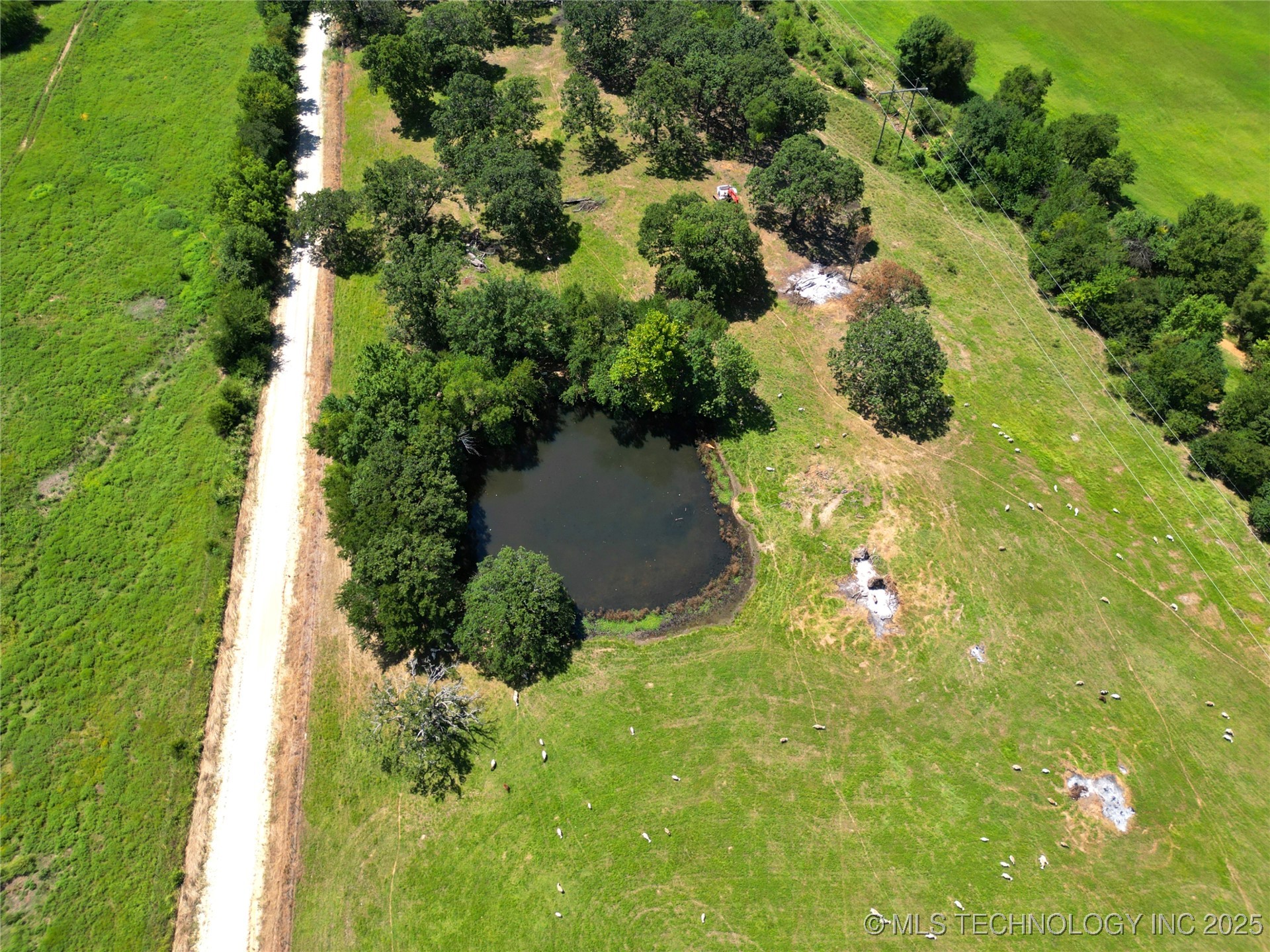 28300 County Road 1590