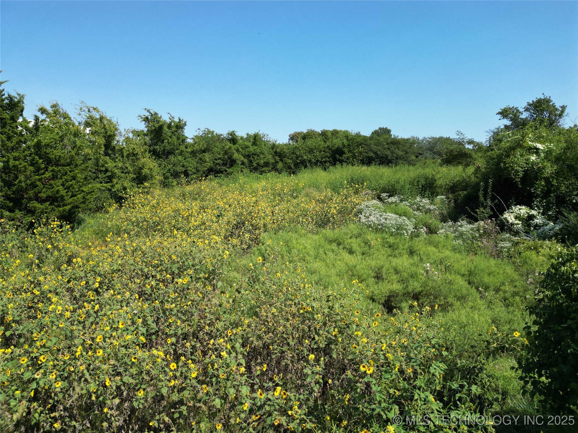 14230 County Road 1560