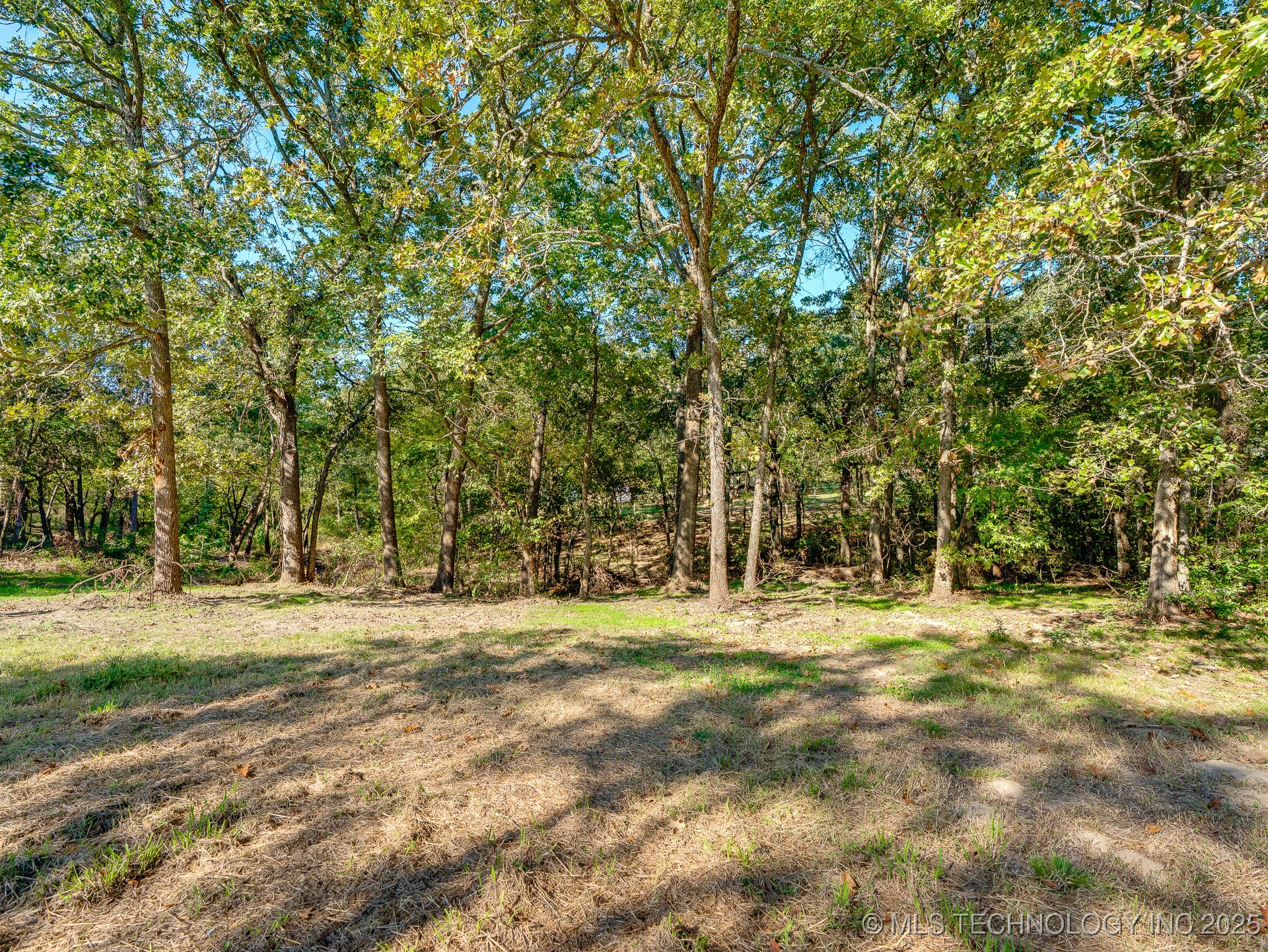 14931 County Road 3585