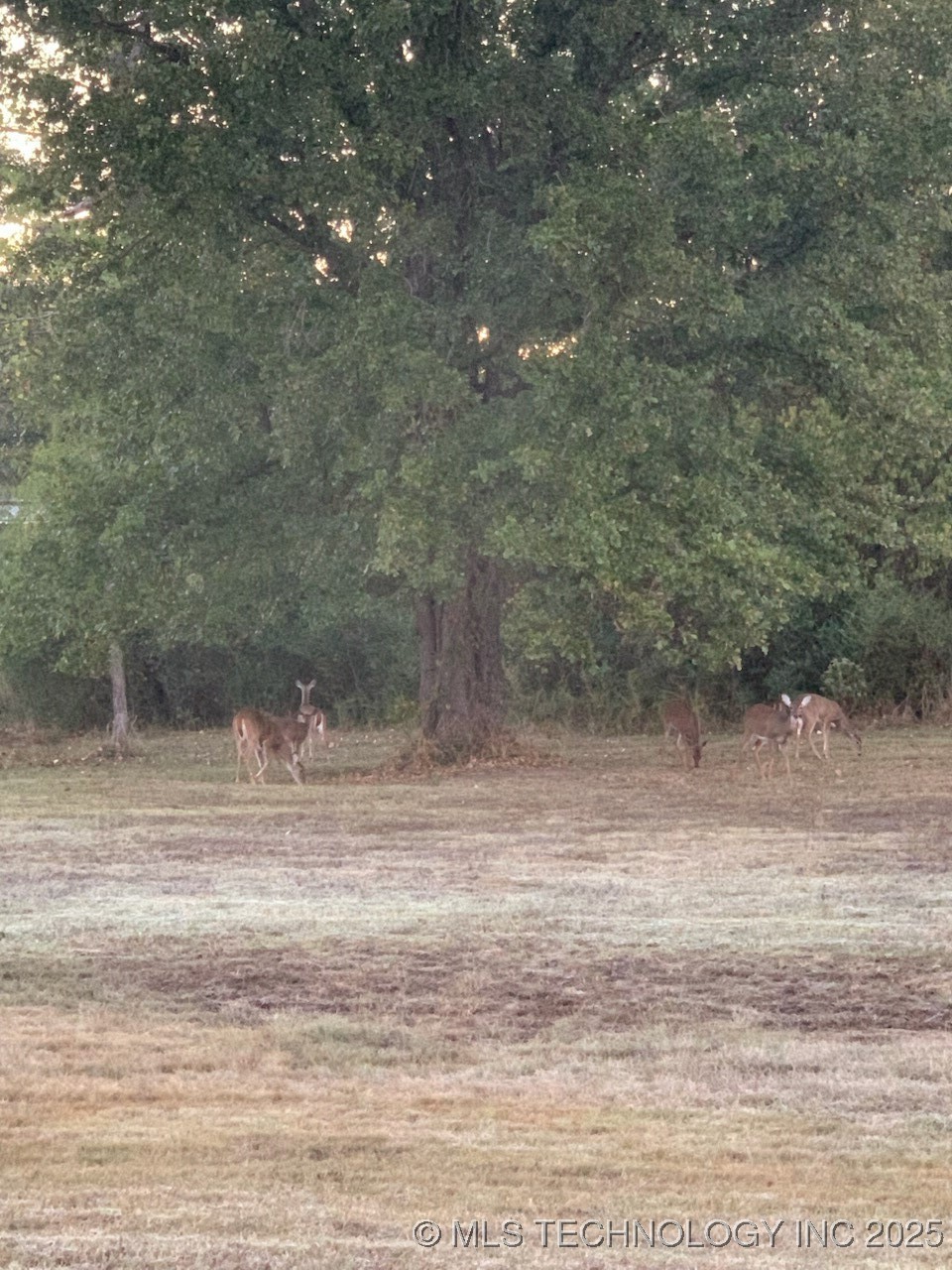 22841 County Road 3620