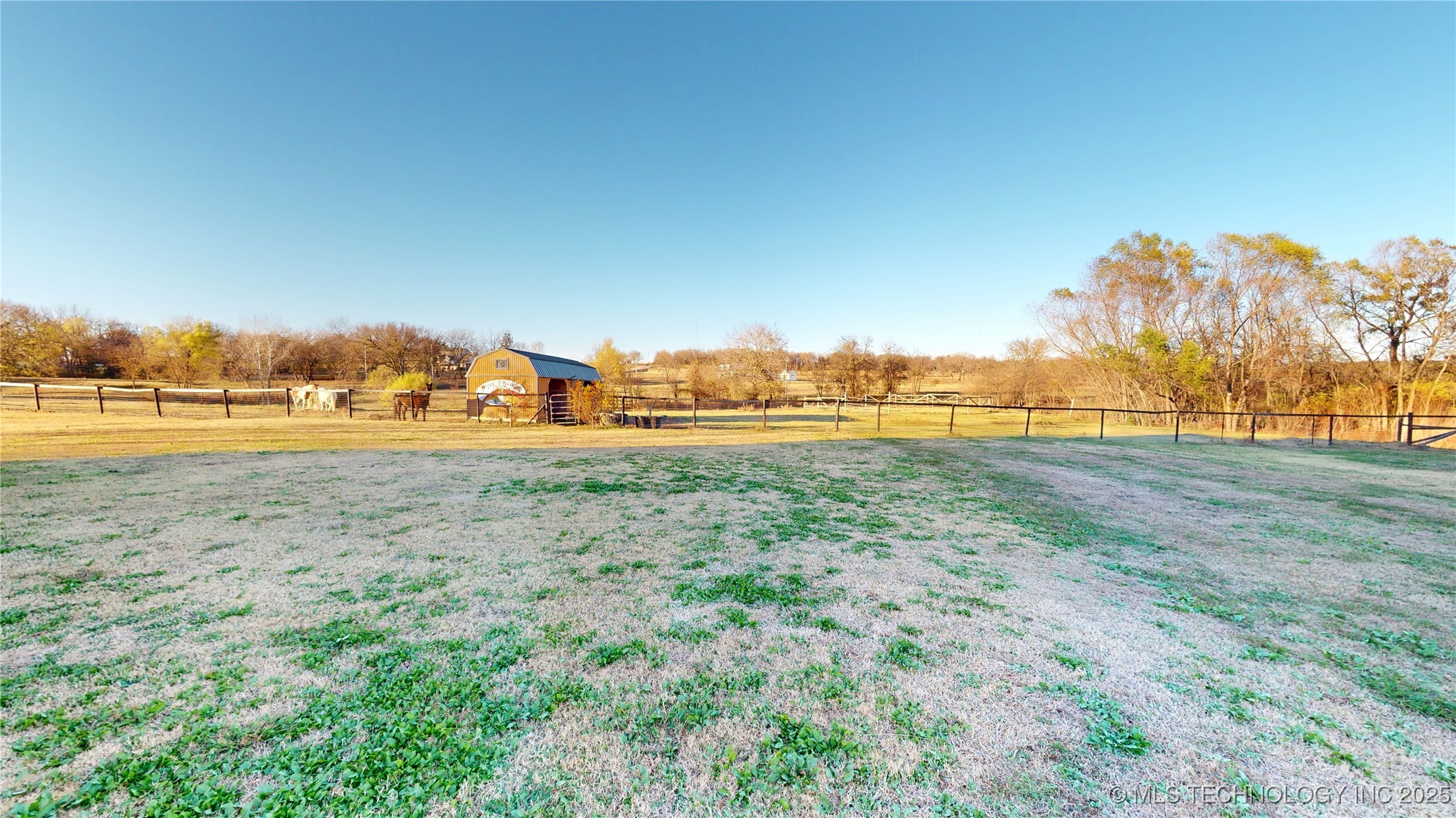 16200 County Road 3635