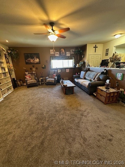 3377 County Road 3790