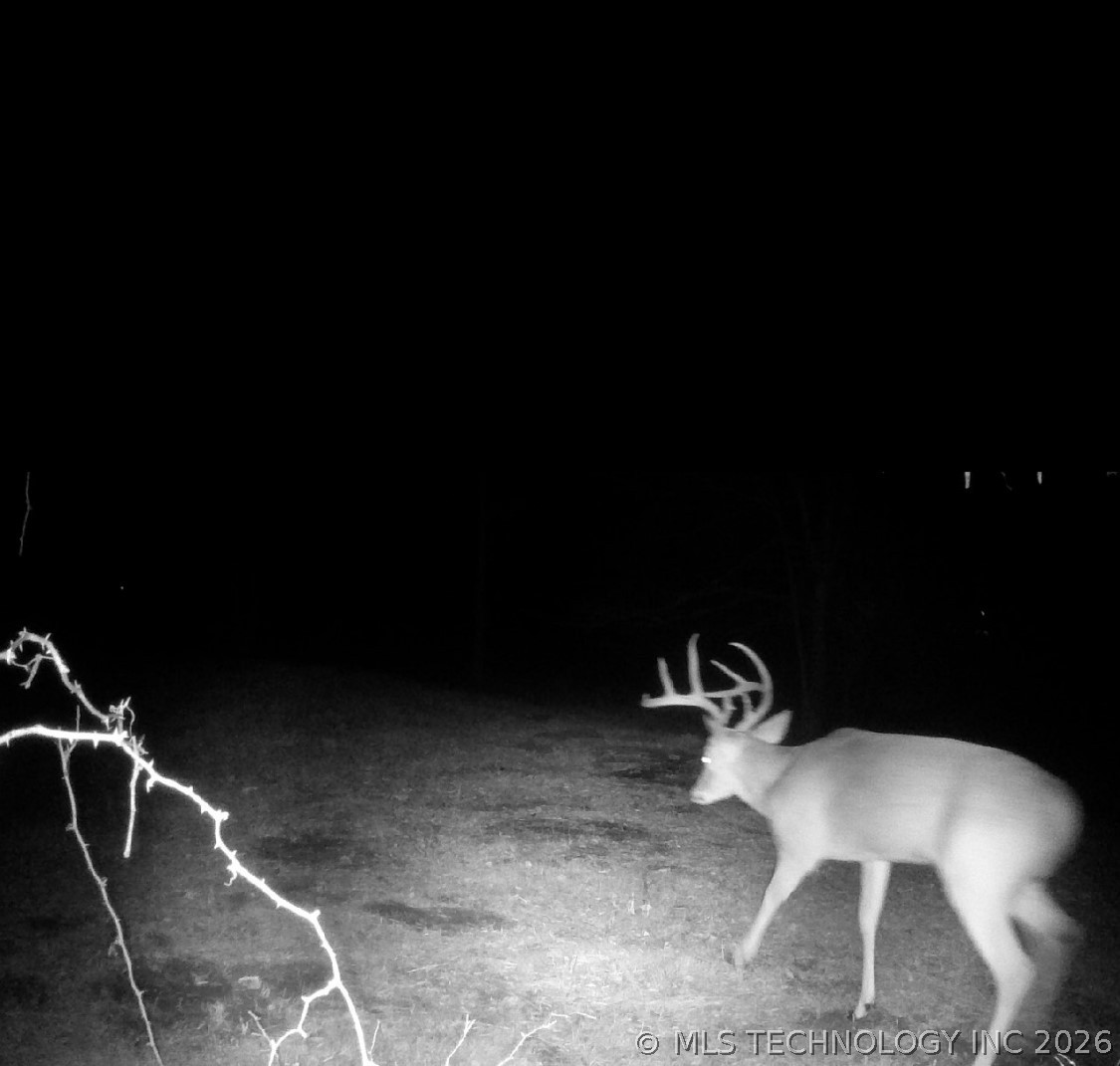 22841 County Road 3620