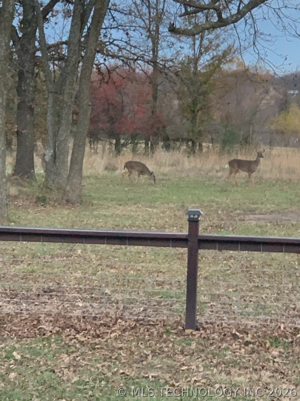 22841 County Road 3620