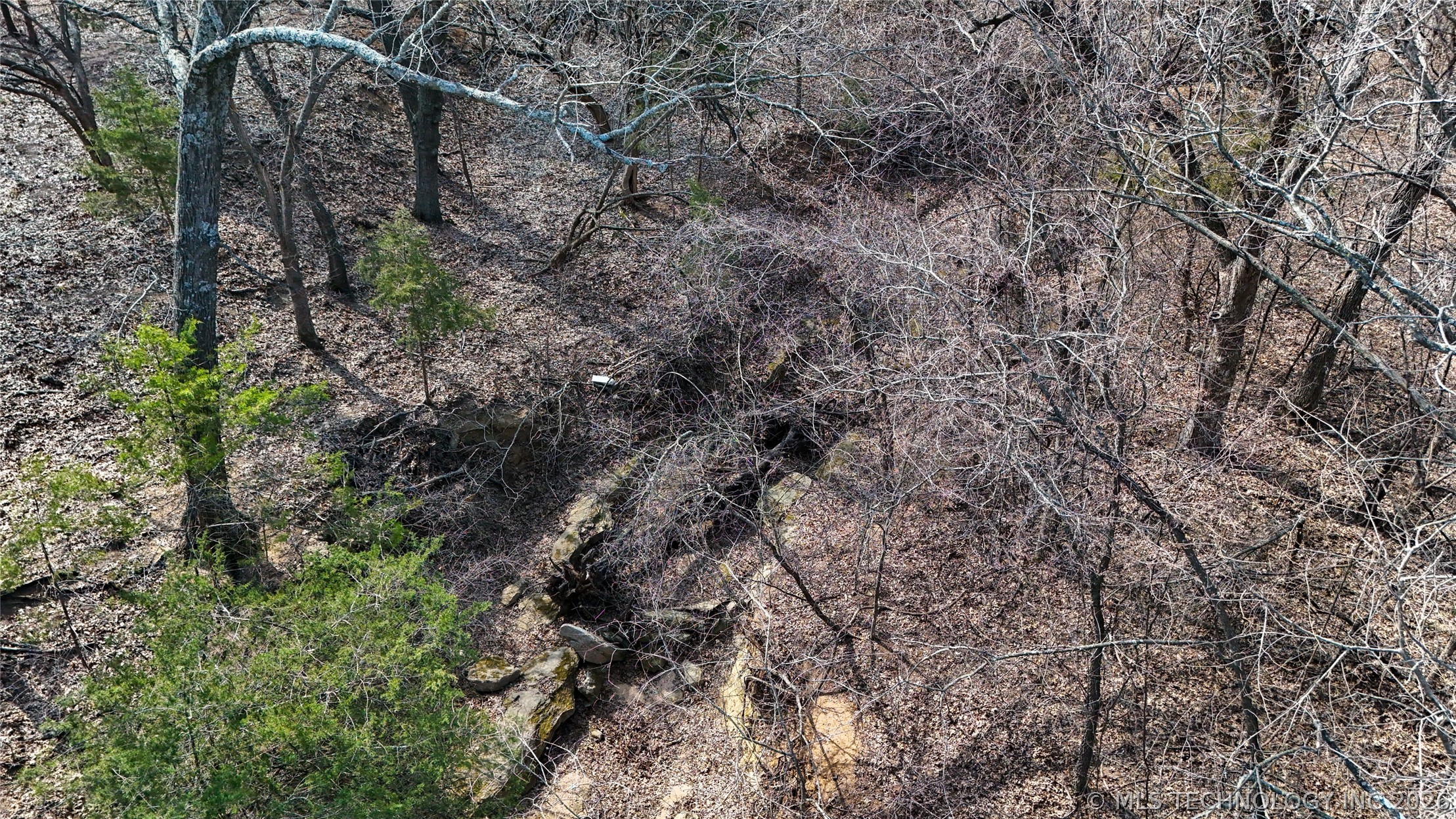 8528 County Road 1570