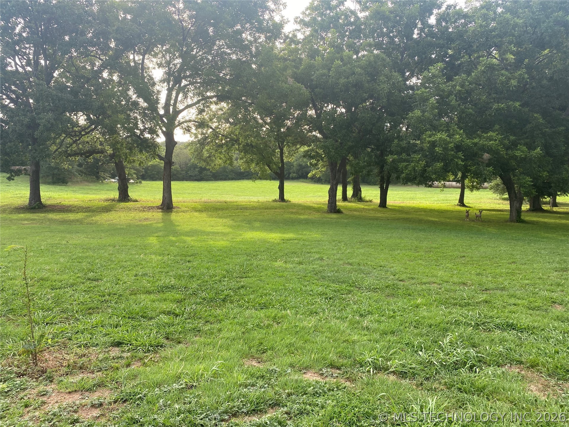 8528 County Road 1570