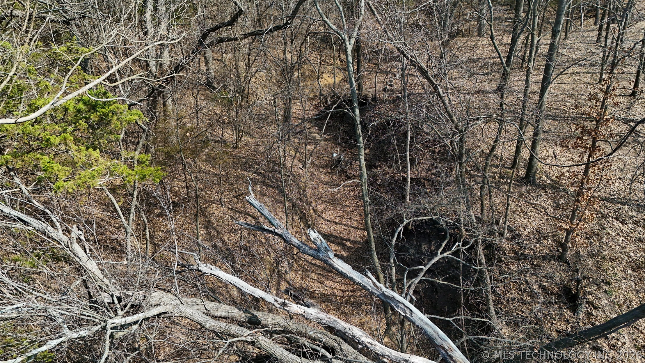 8528 County Road 1570