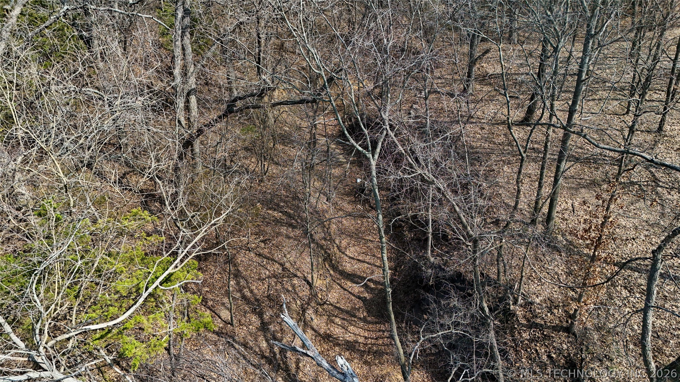 8528 County Road 1570