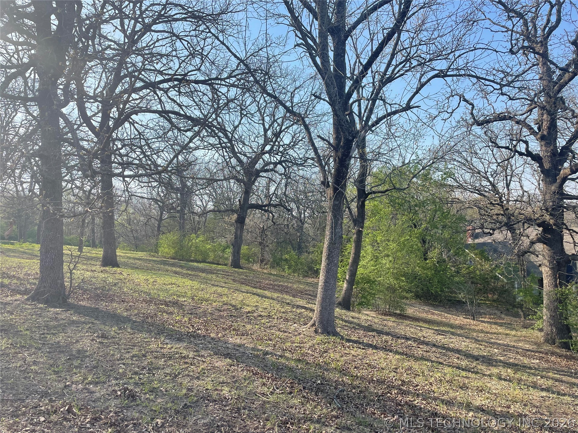 Chickasaw