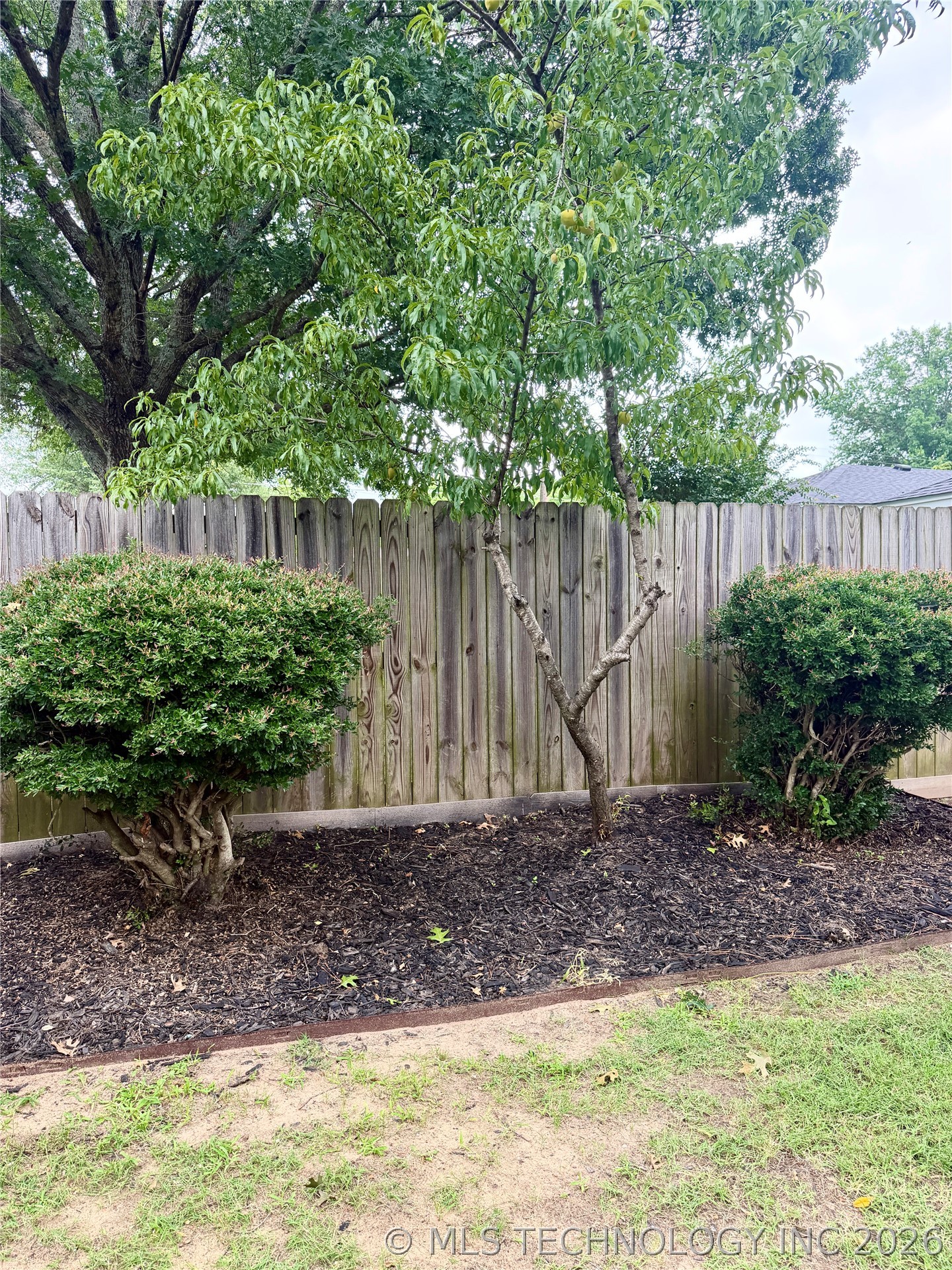 2513 Foliage