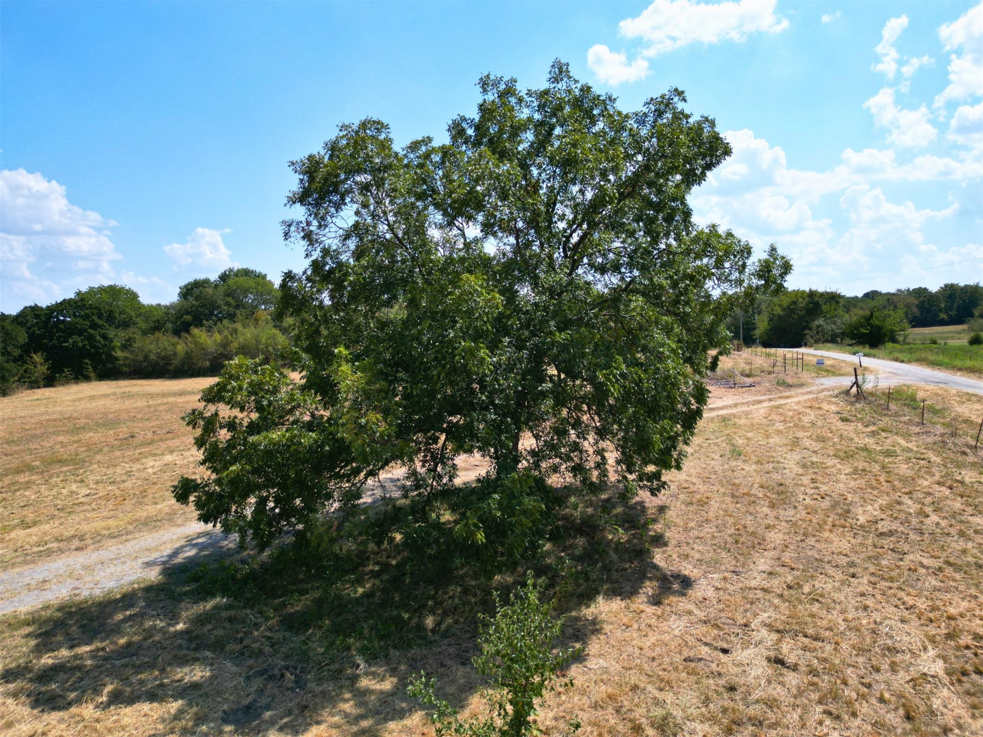 19640 County Road 3652