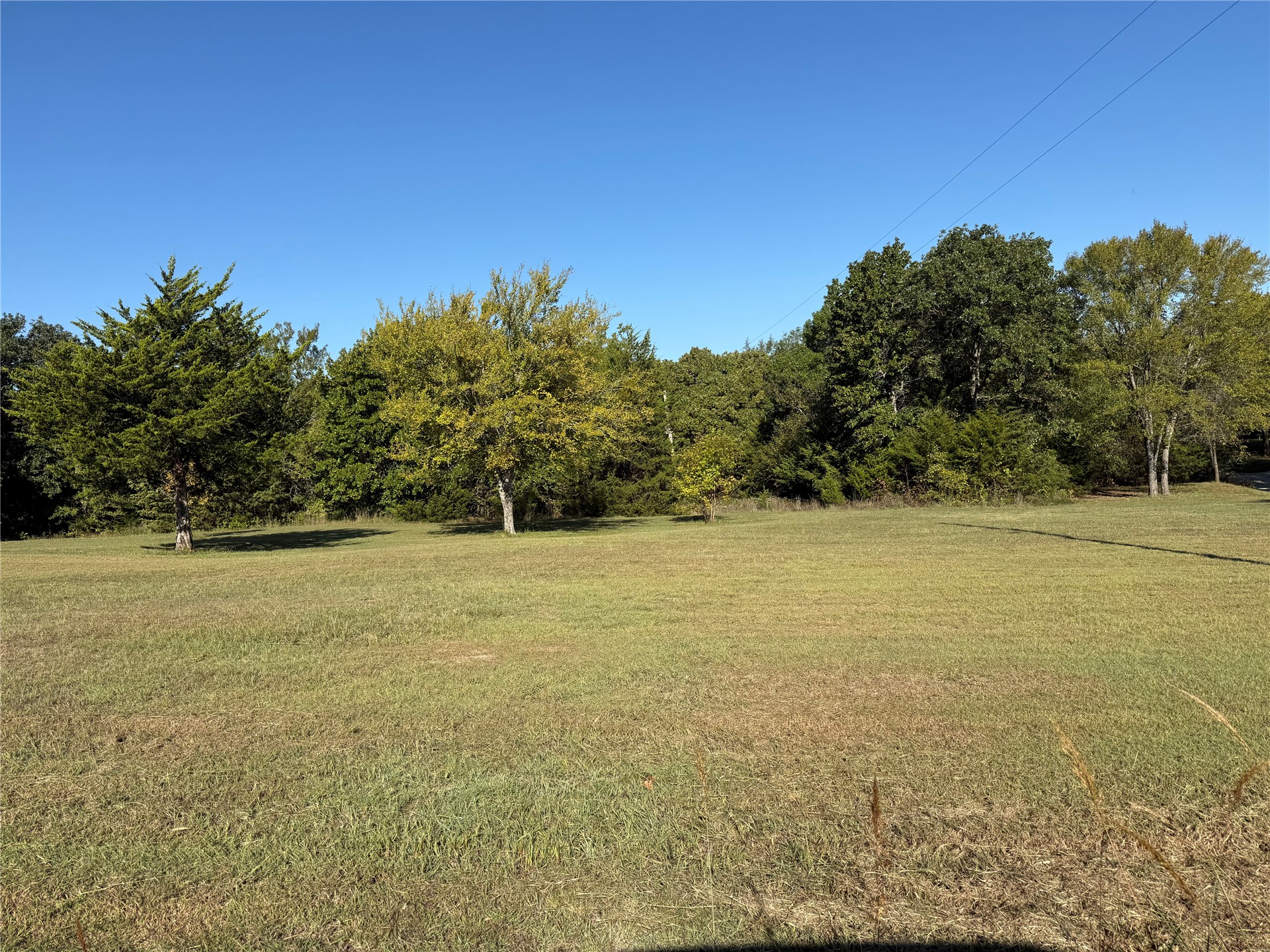 County Road 3518 Road
