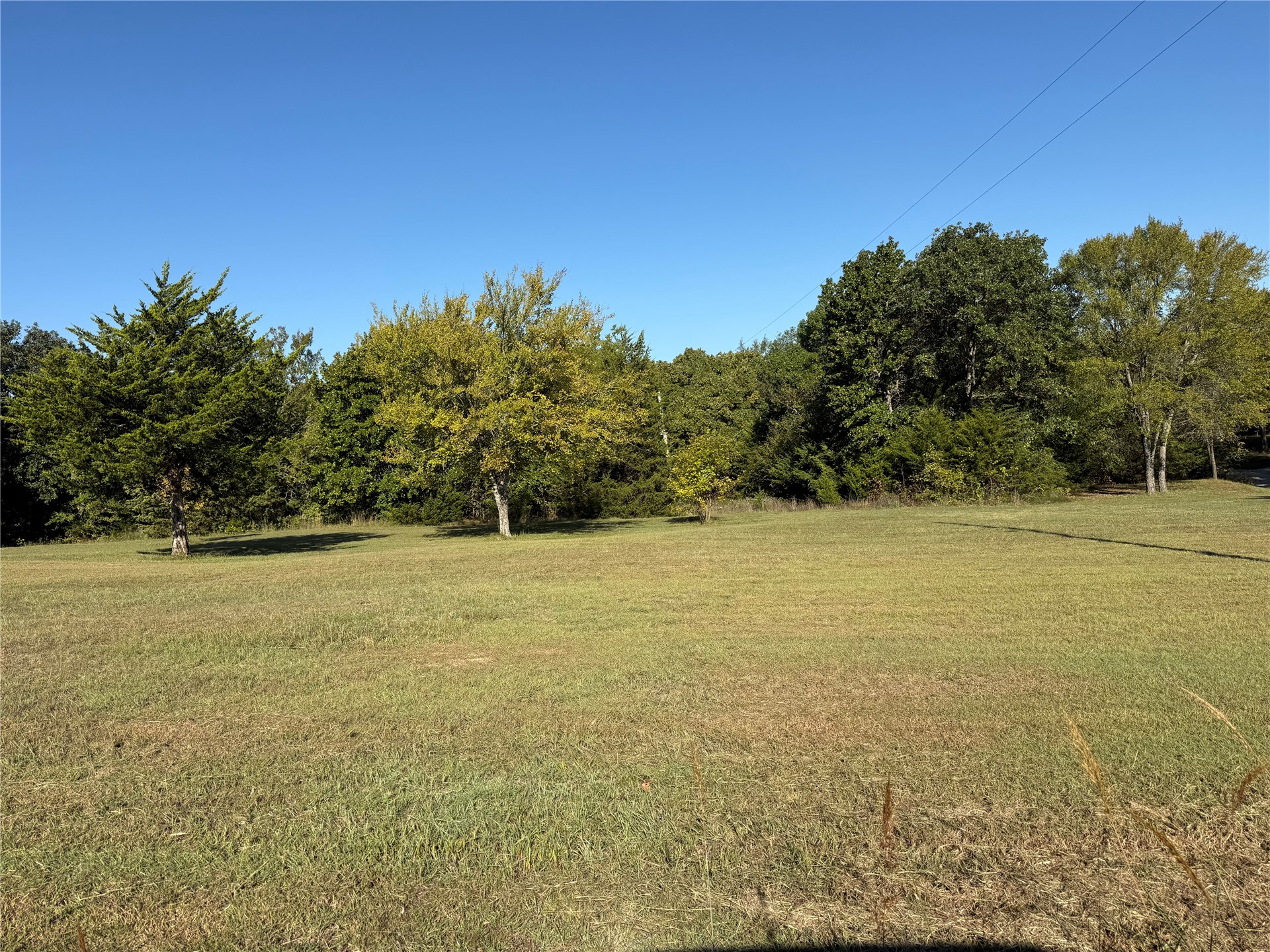 County Road 3518 Road