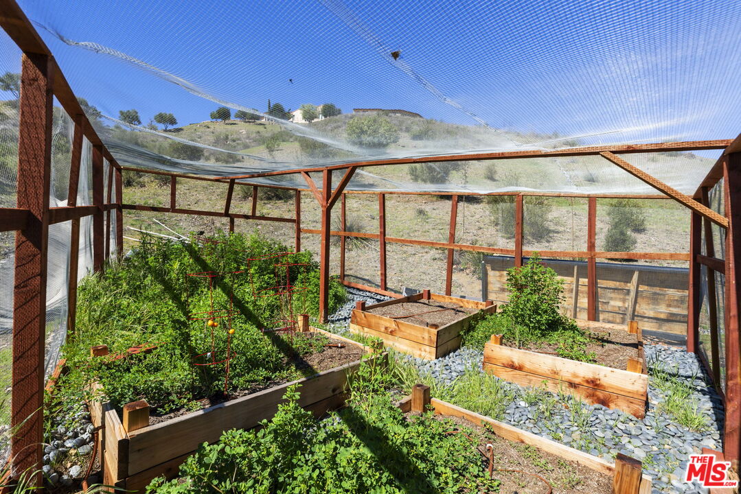 31830 Lobo Canyon