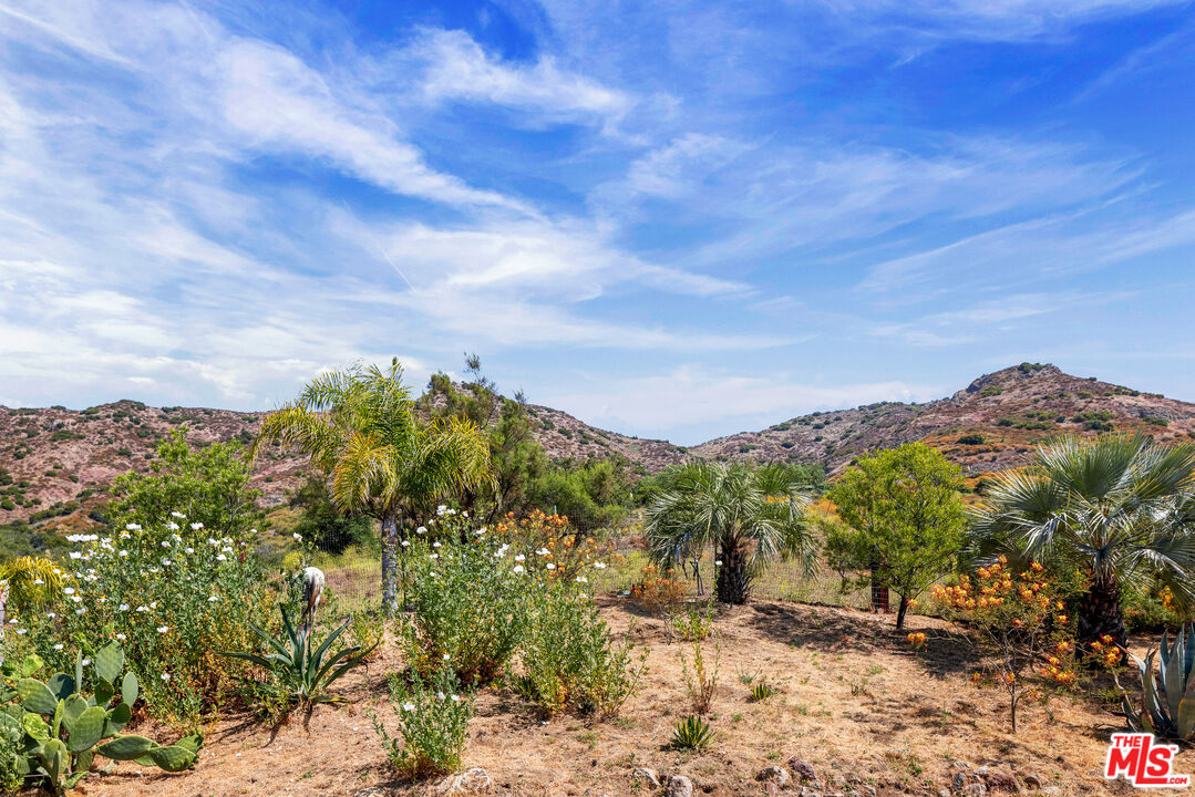 31823 Lobo Canyon Rd