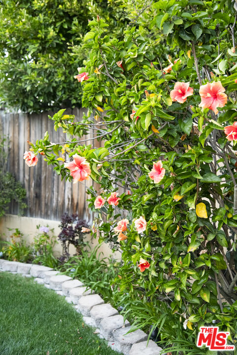 6427 Lindenhurst Ave