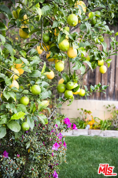 6427 Lindenhurst Ave