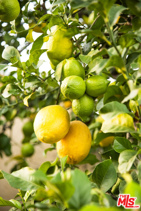 6427 Lindenhurst Ave