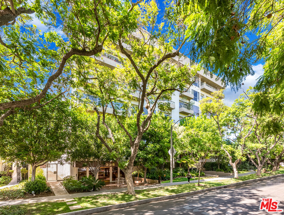 339 N Palm Dr Unit: 202