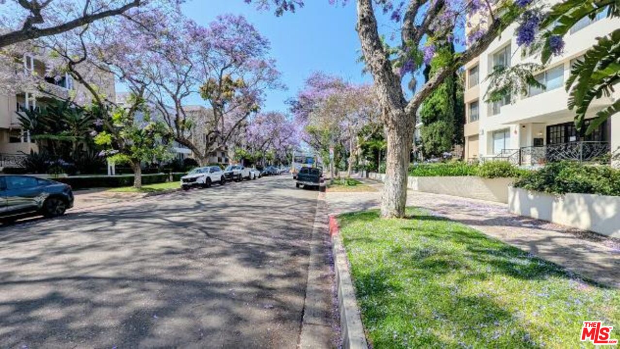 412 N Palm Dr Unit: 302