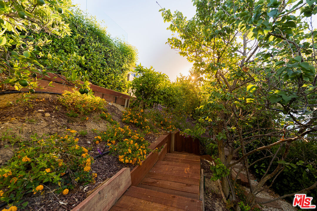 3116 Elvido Dr