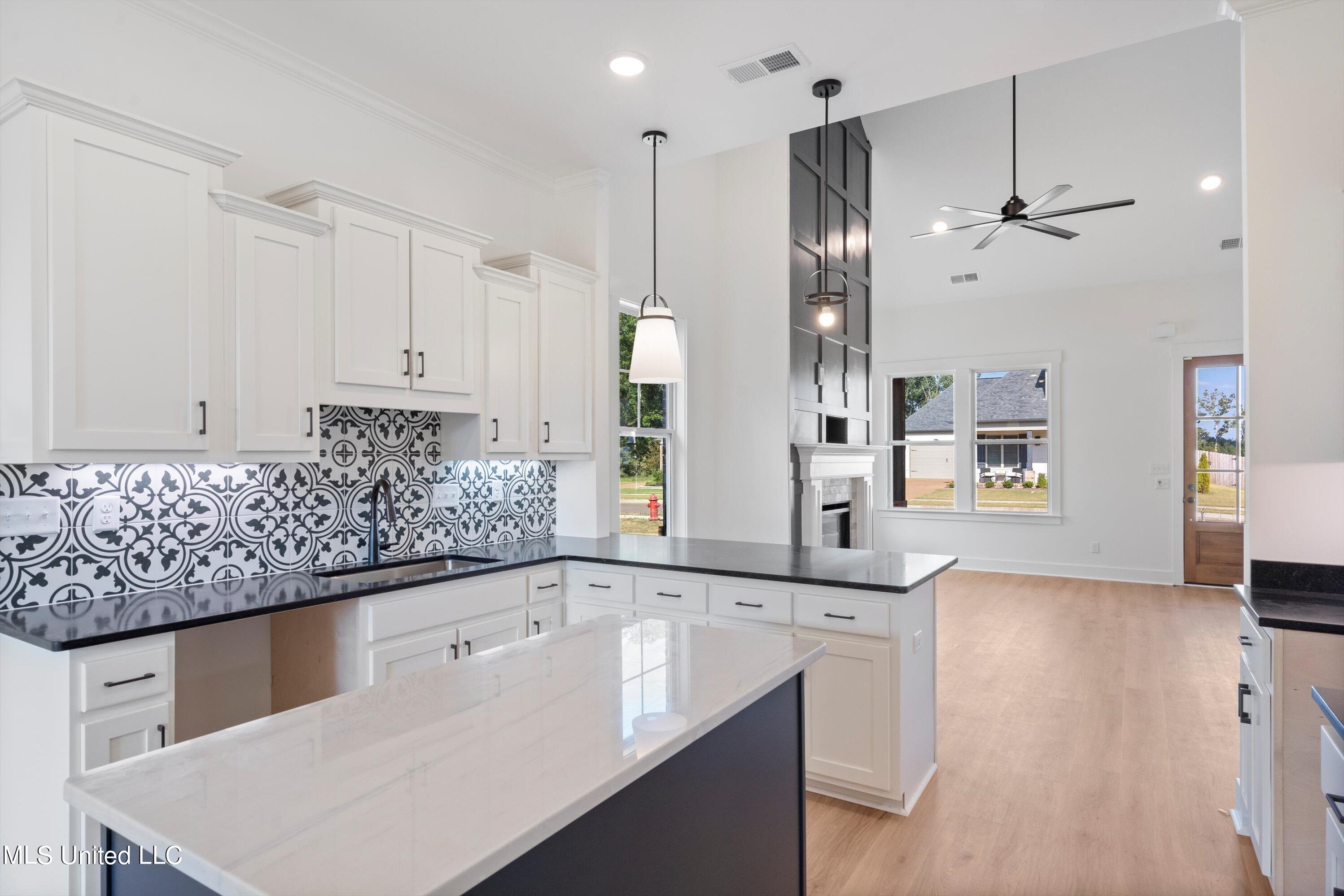 3871 Swan Cove