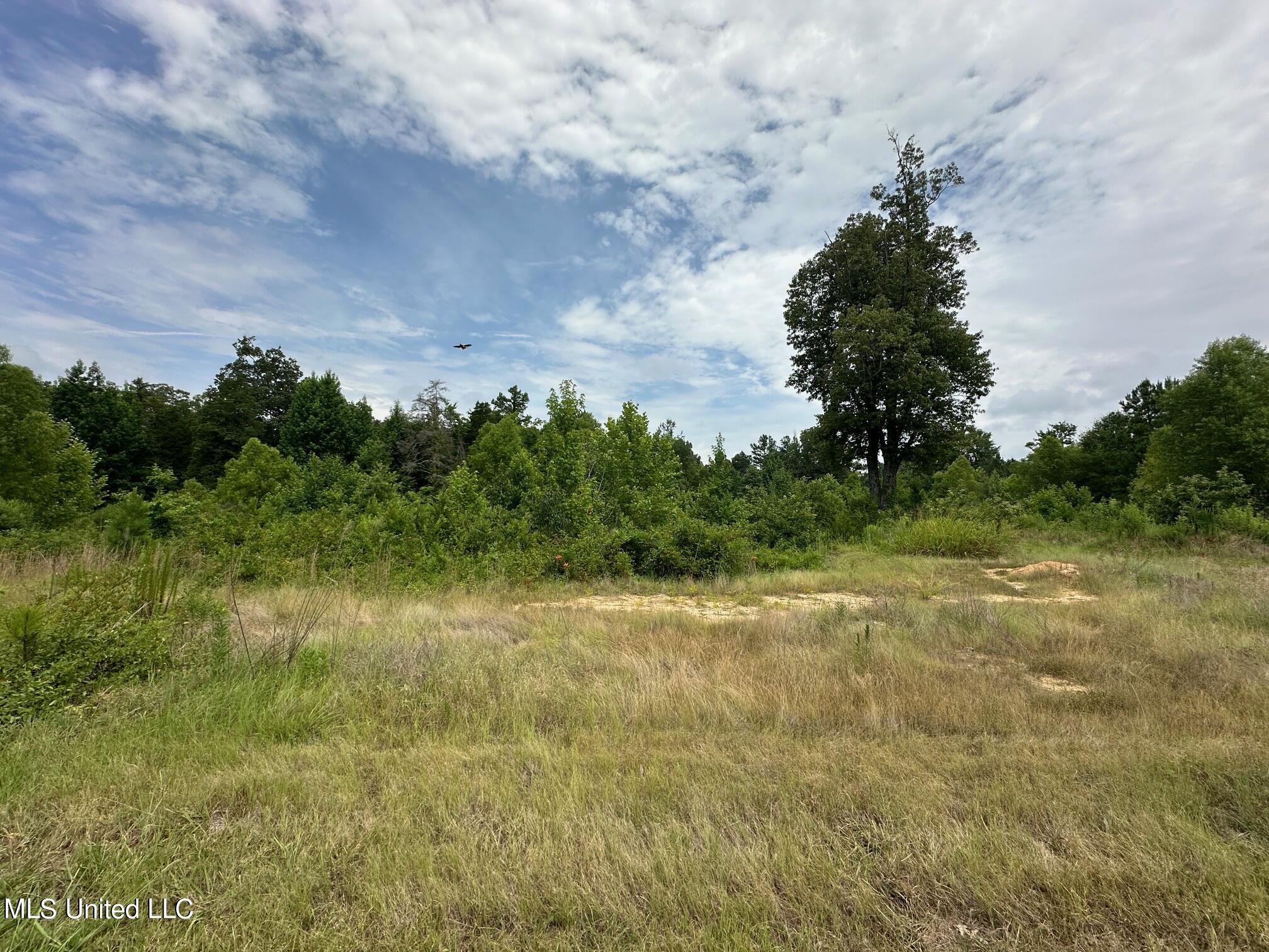 11554 Hidden Acres Drive