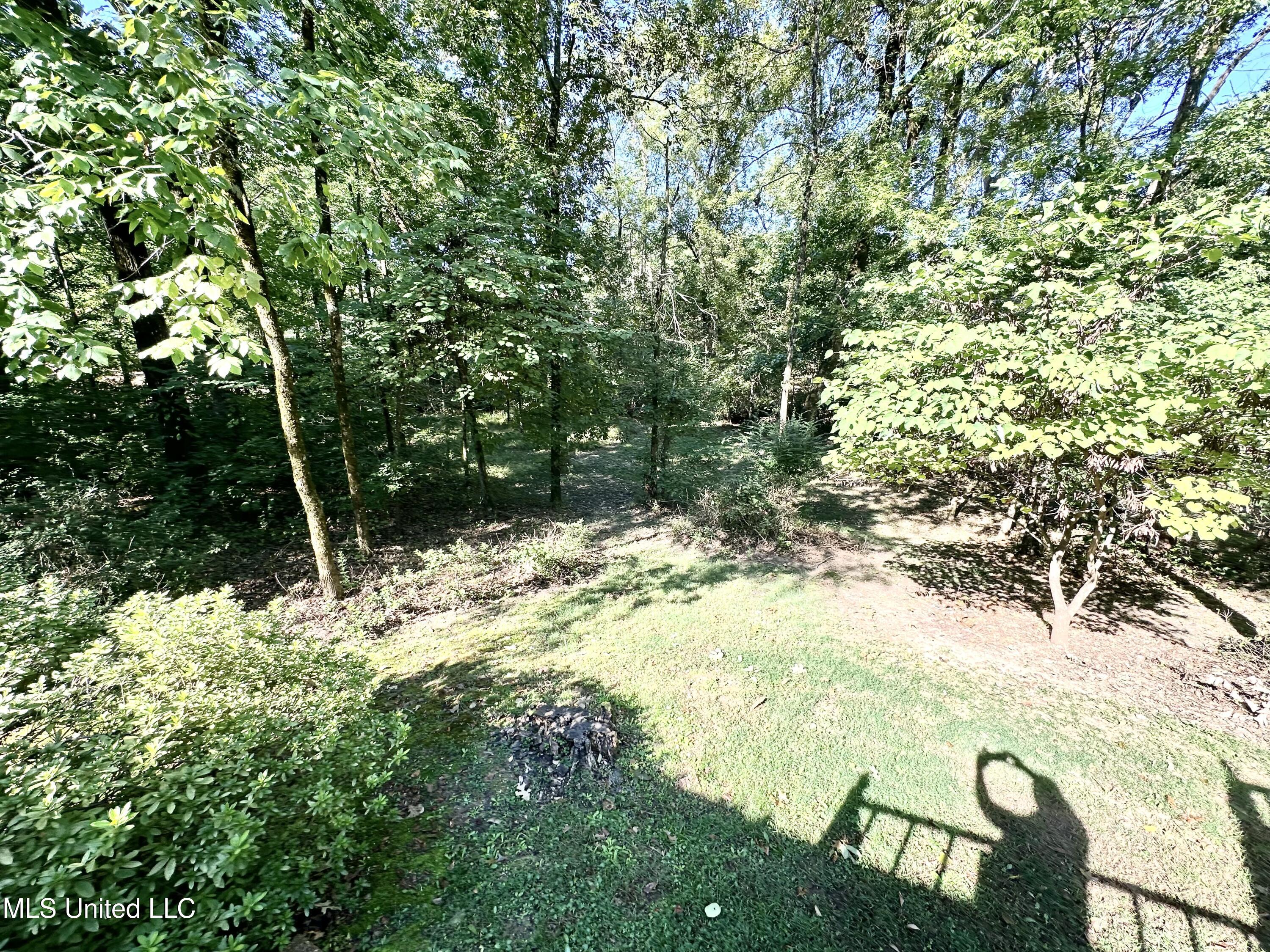 1803 Wood Lane Drive