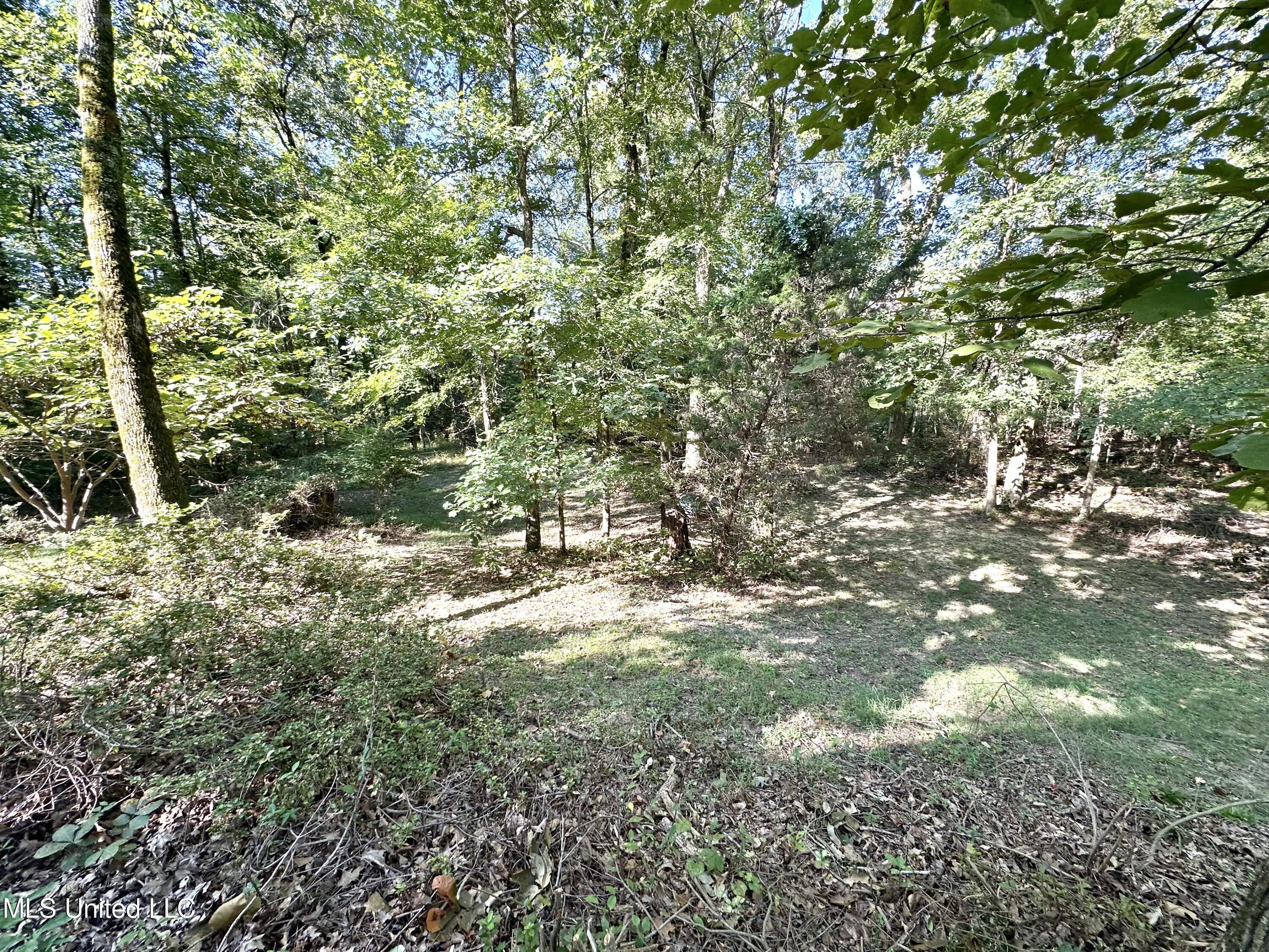 1803 Wood Lane Drive