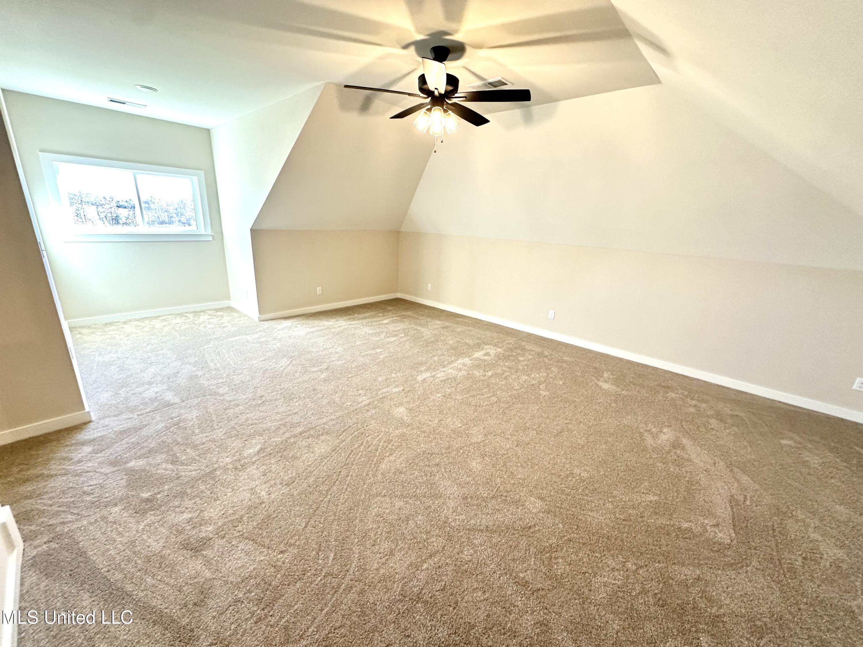 3908 Swan Cove