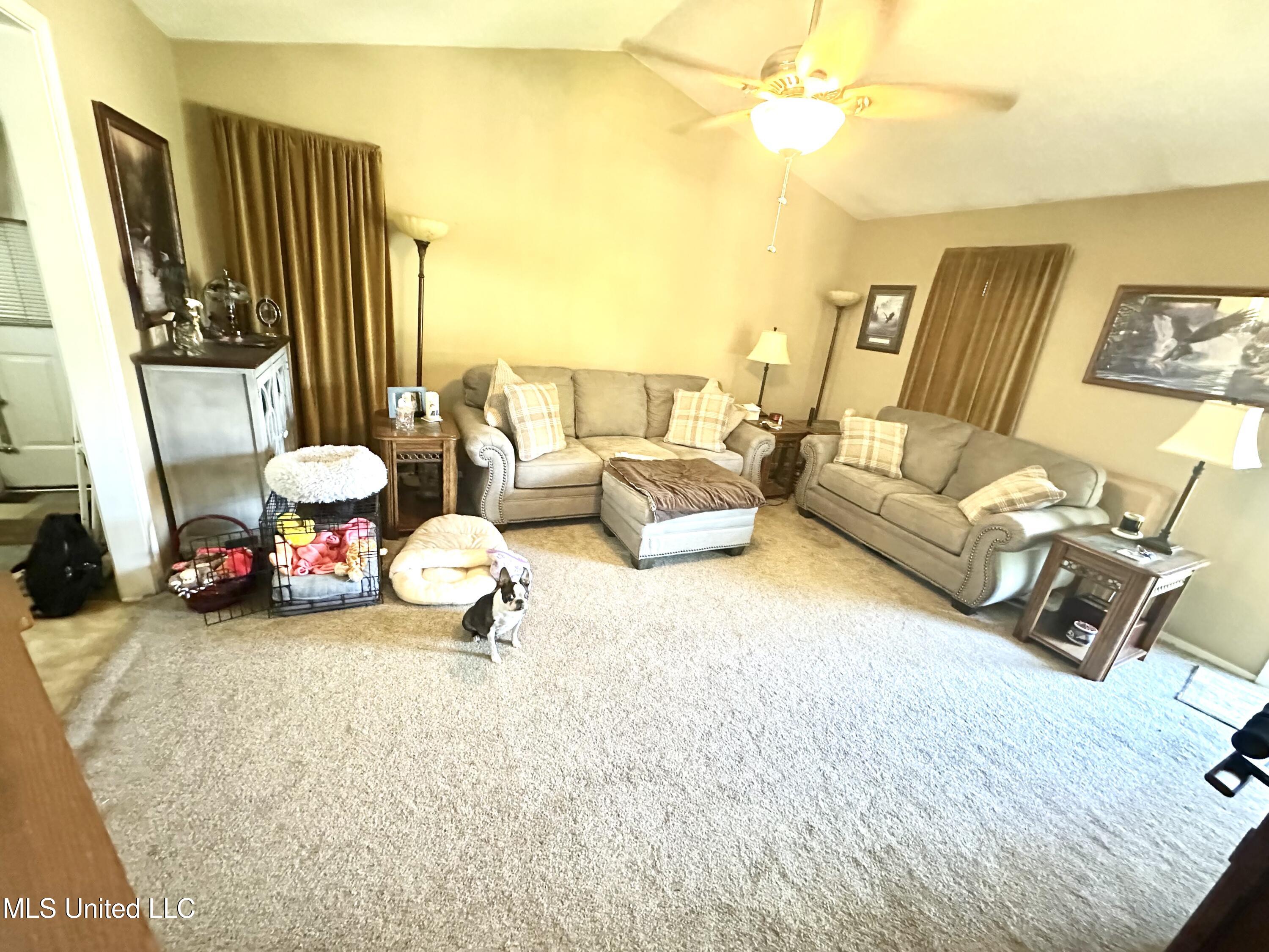 3505 Dorchester Drive
