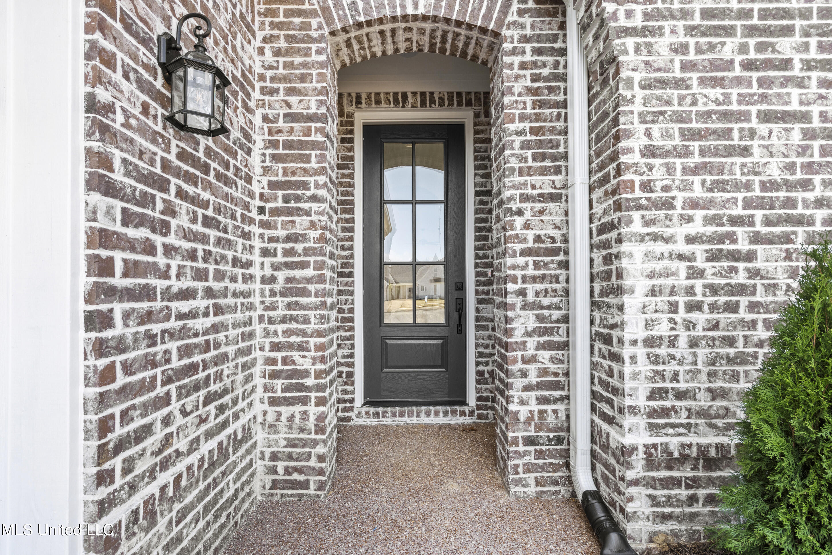 2955 Molly Cove