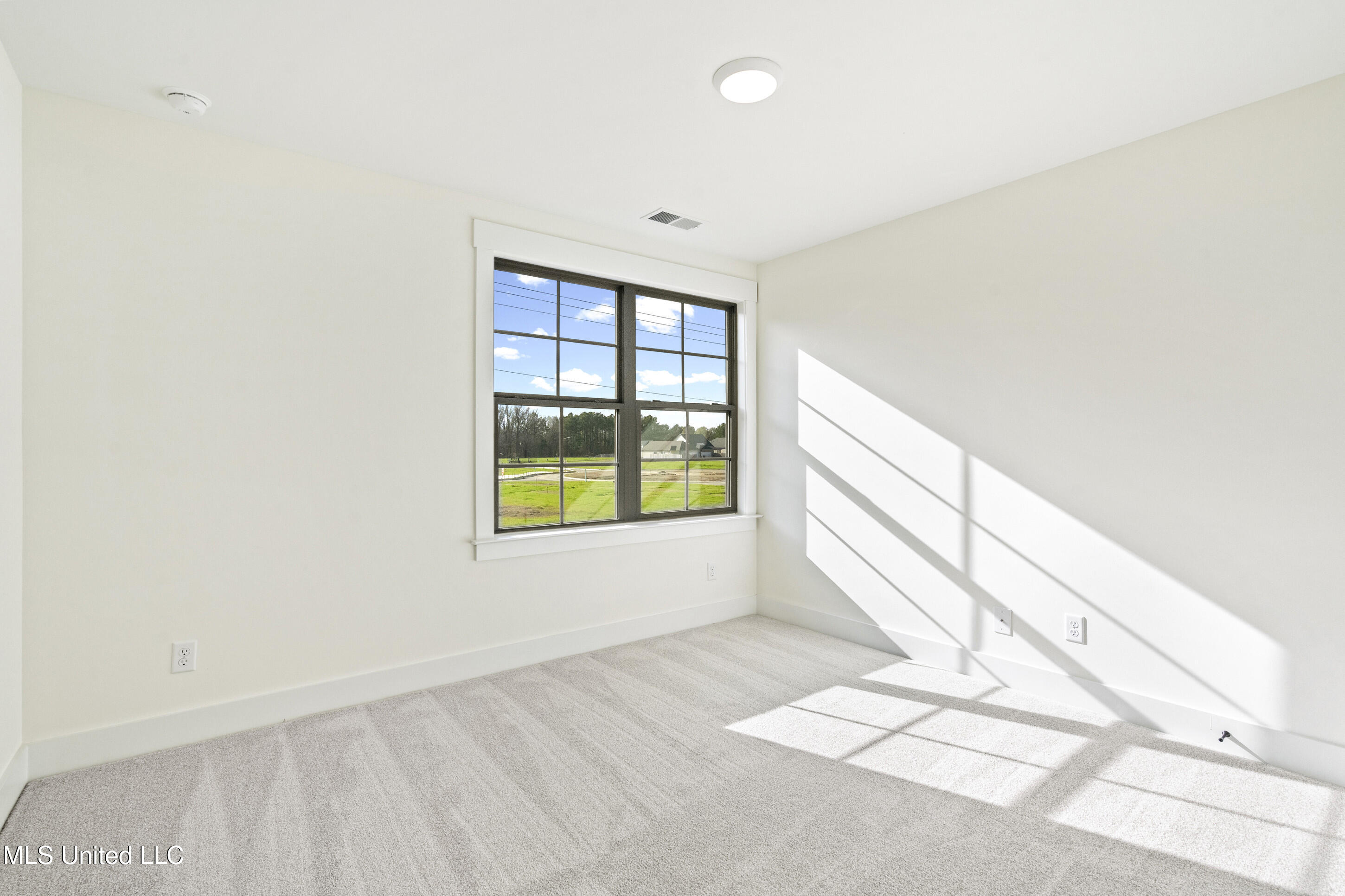 2955 Molly Cove