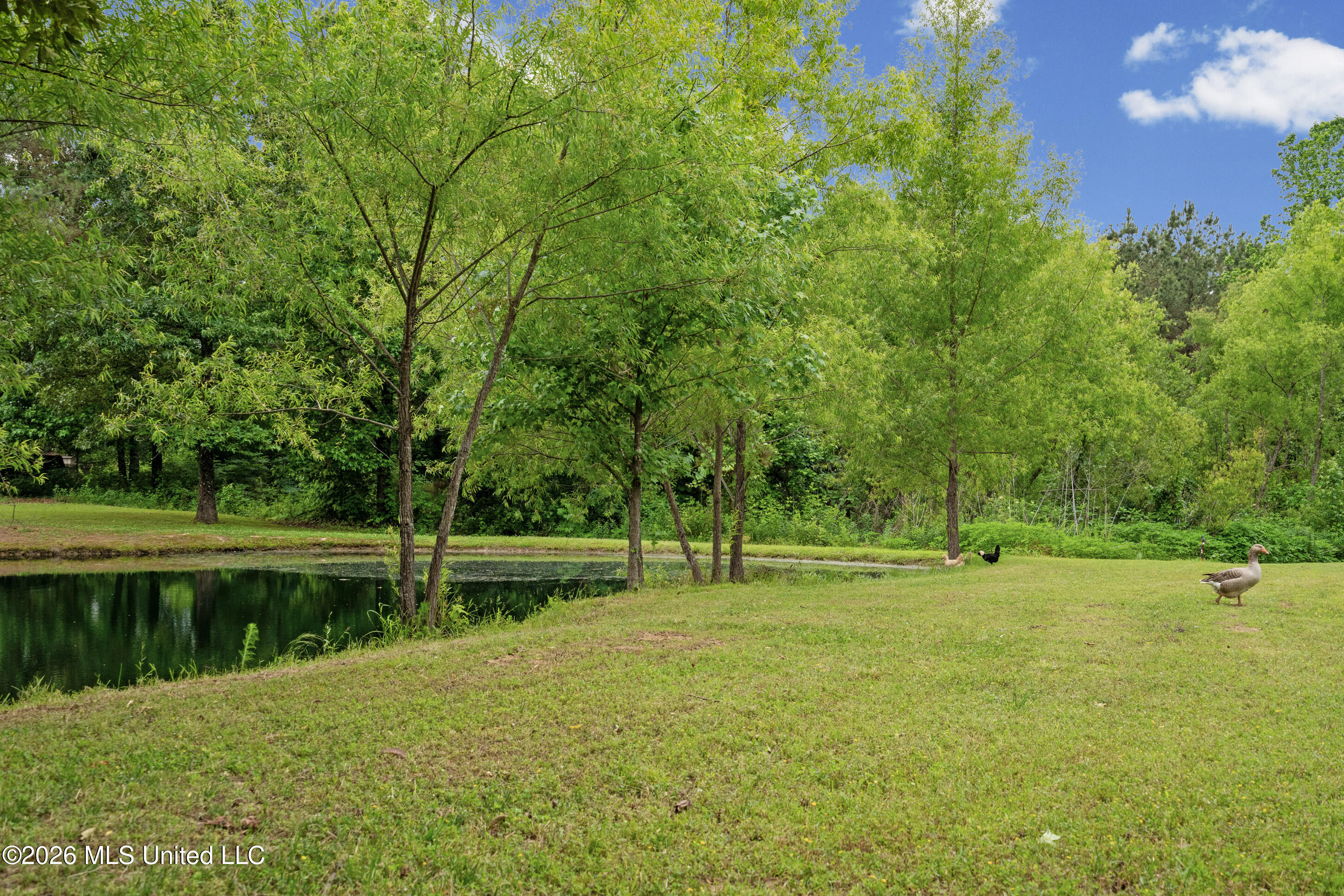 195 Southbrook Drive