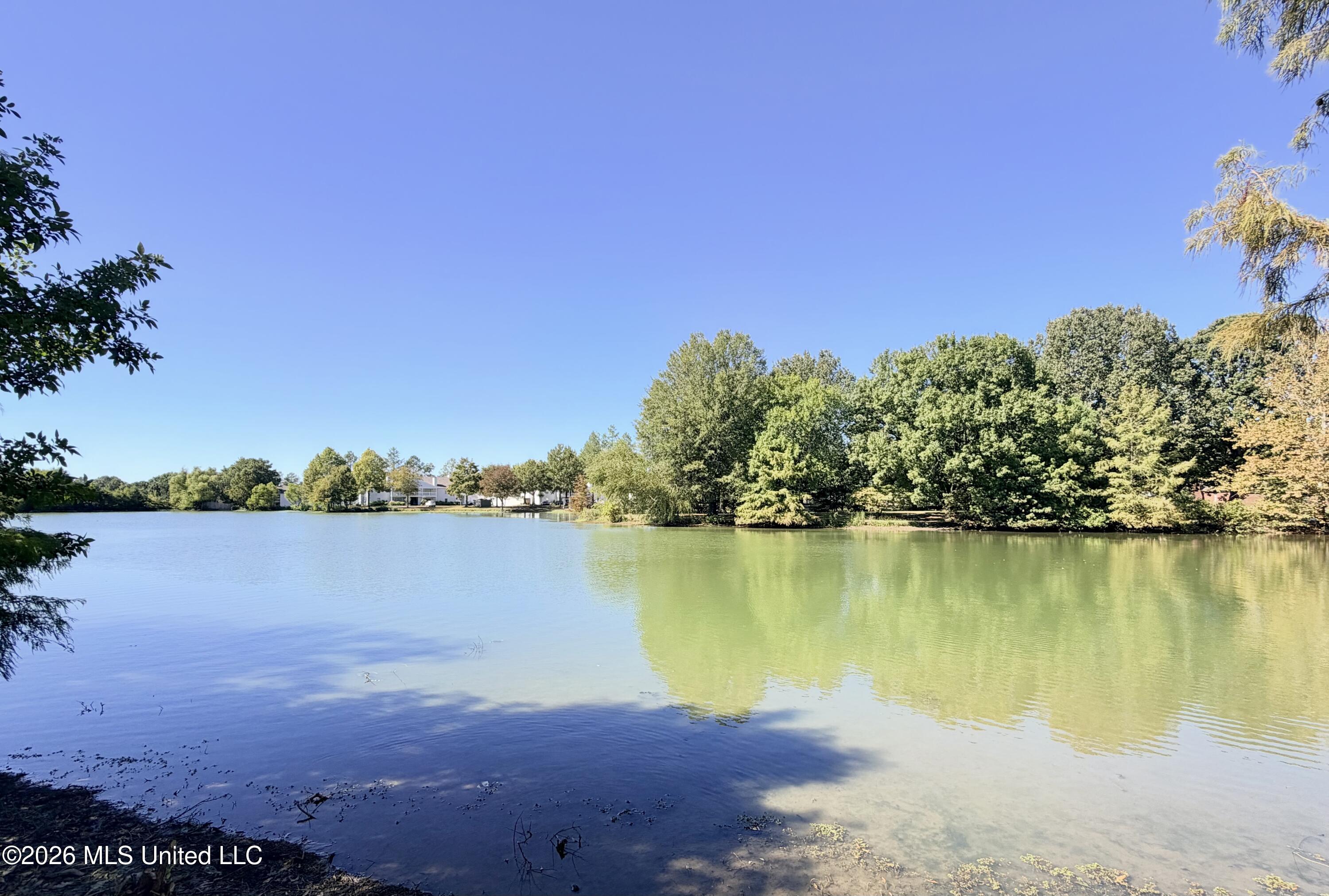 Lake with a tree-lined shore and homes across the water.