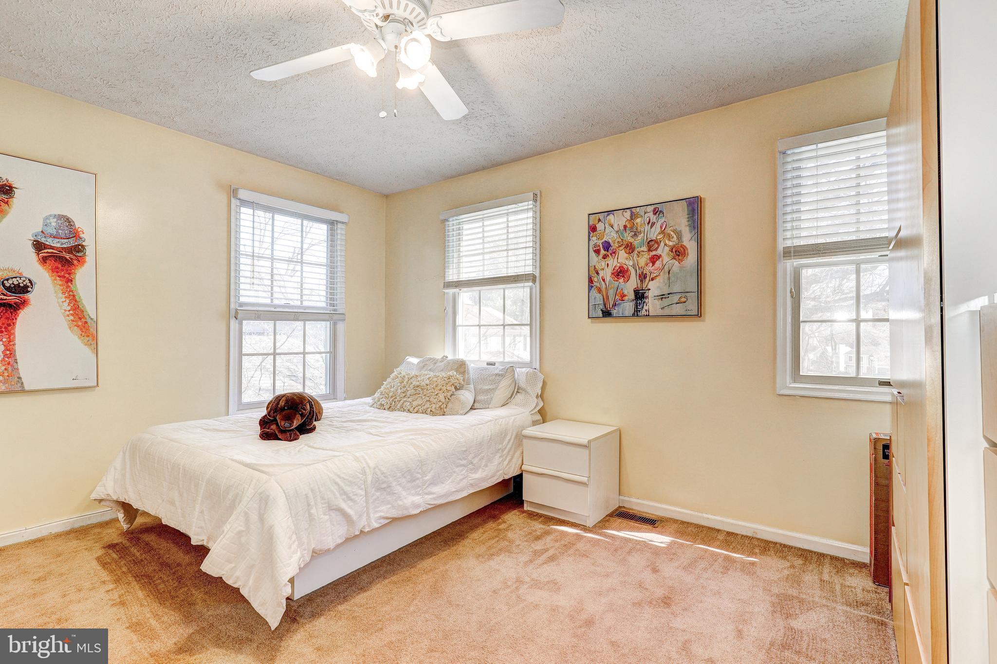 20 WHITE WILLOW COURT