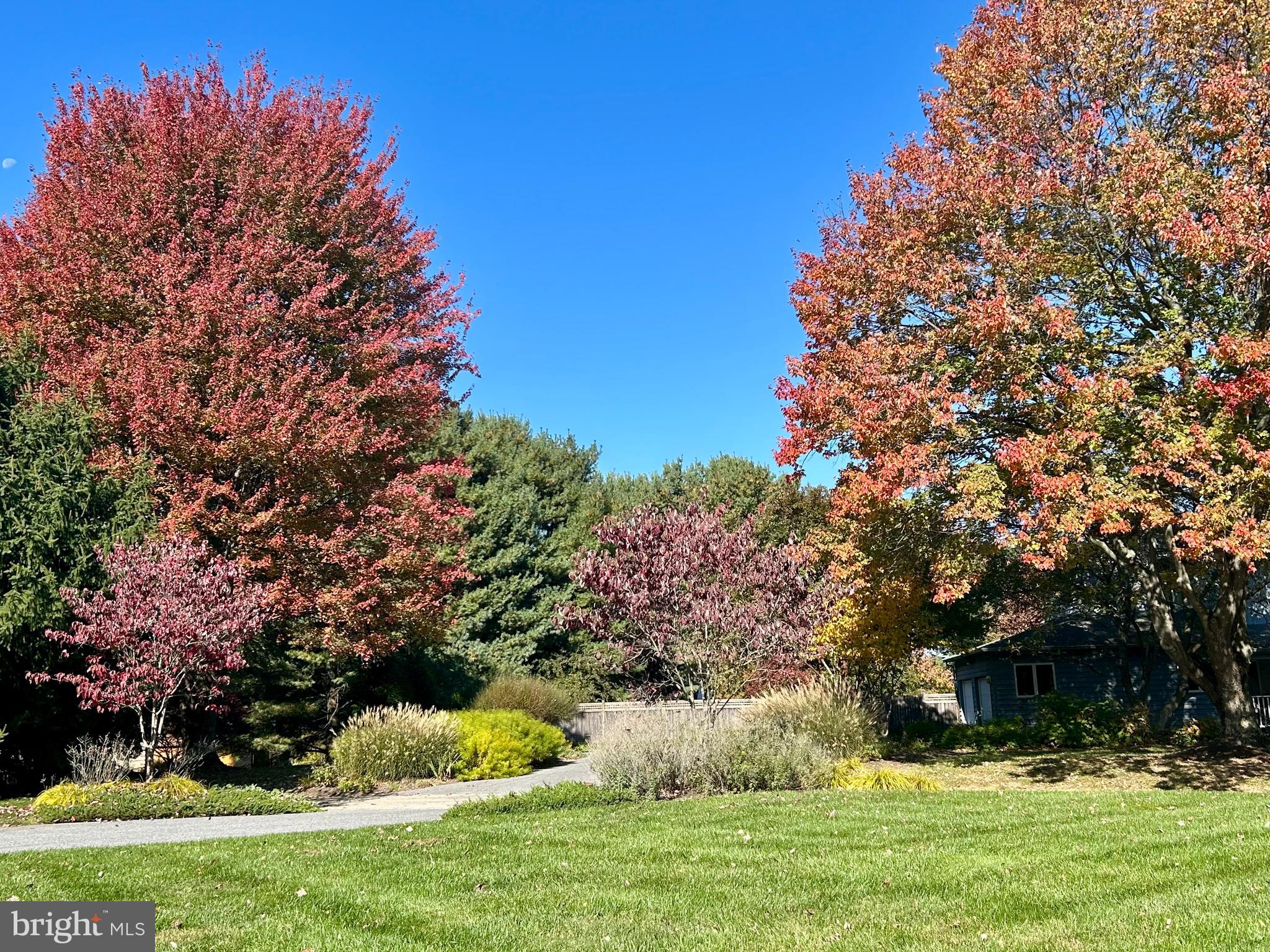 10 DORSET HILL COURT