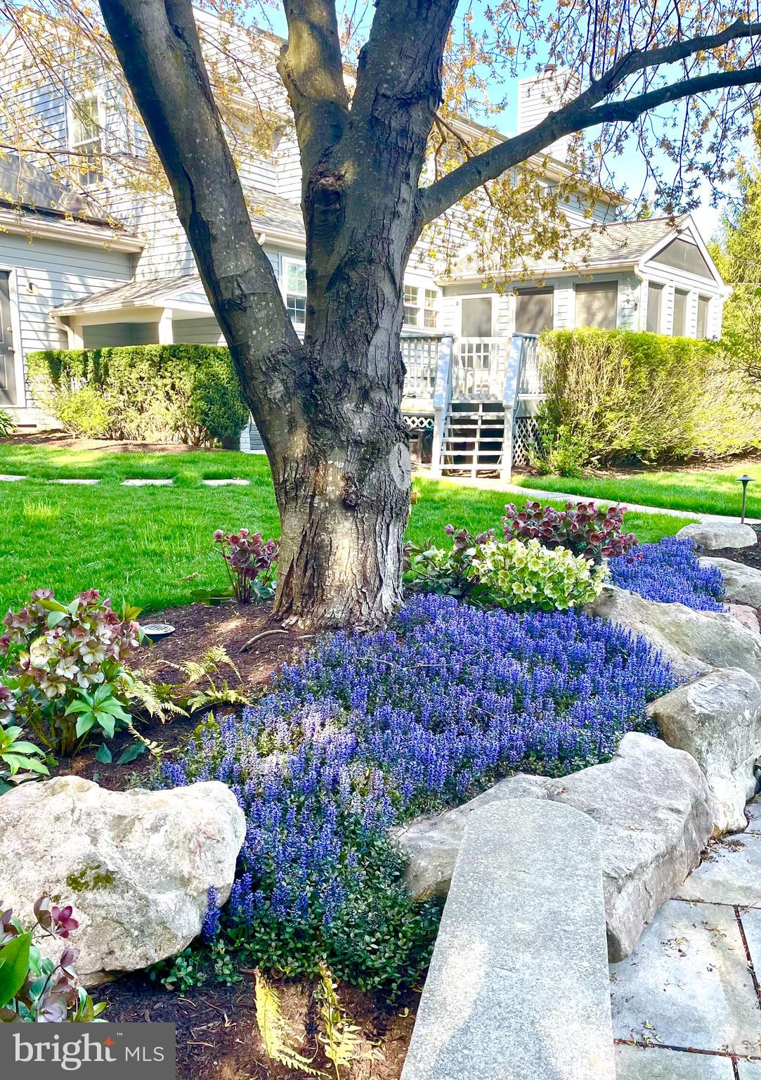 10 DORSET HILL COURT