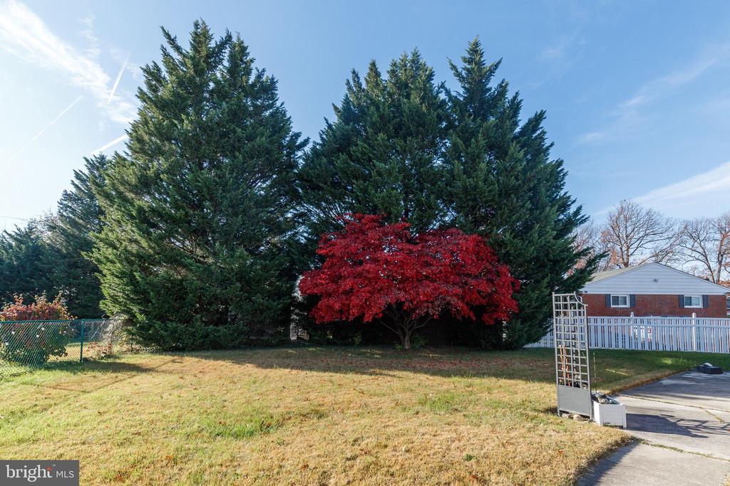 1626 PICKETT ROAD