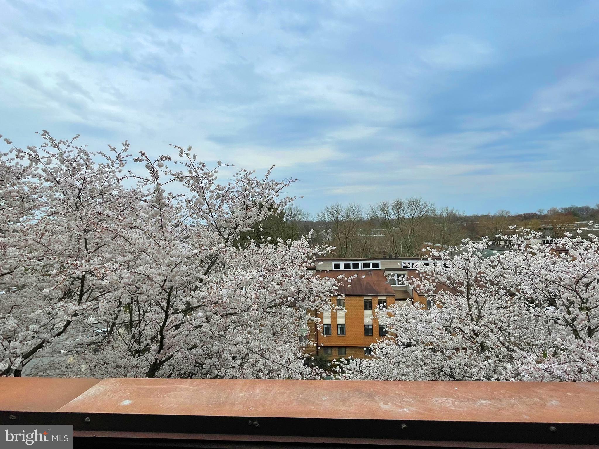 5 WINDBLOWN COURT 301