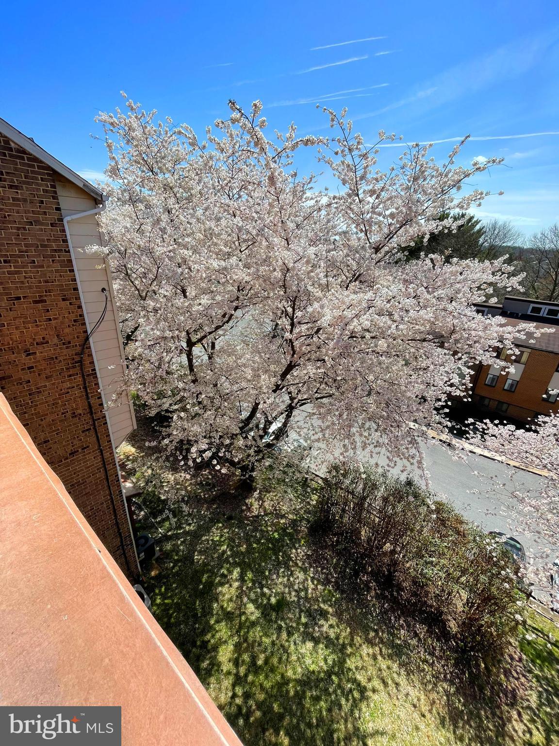 5 WINDBLOWN COURT 301