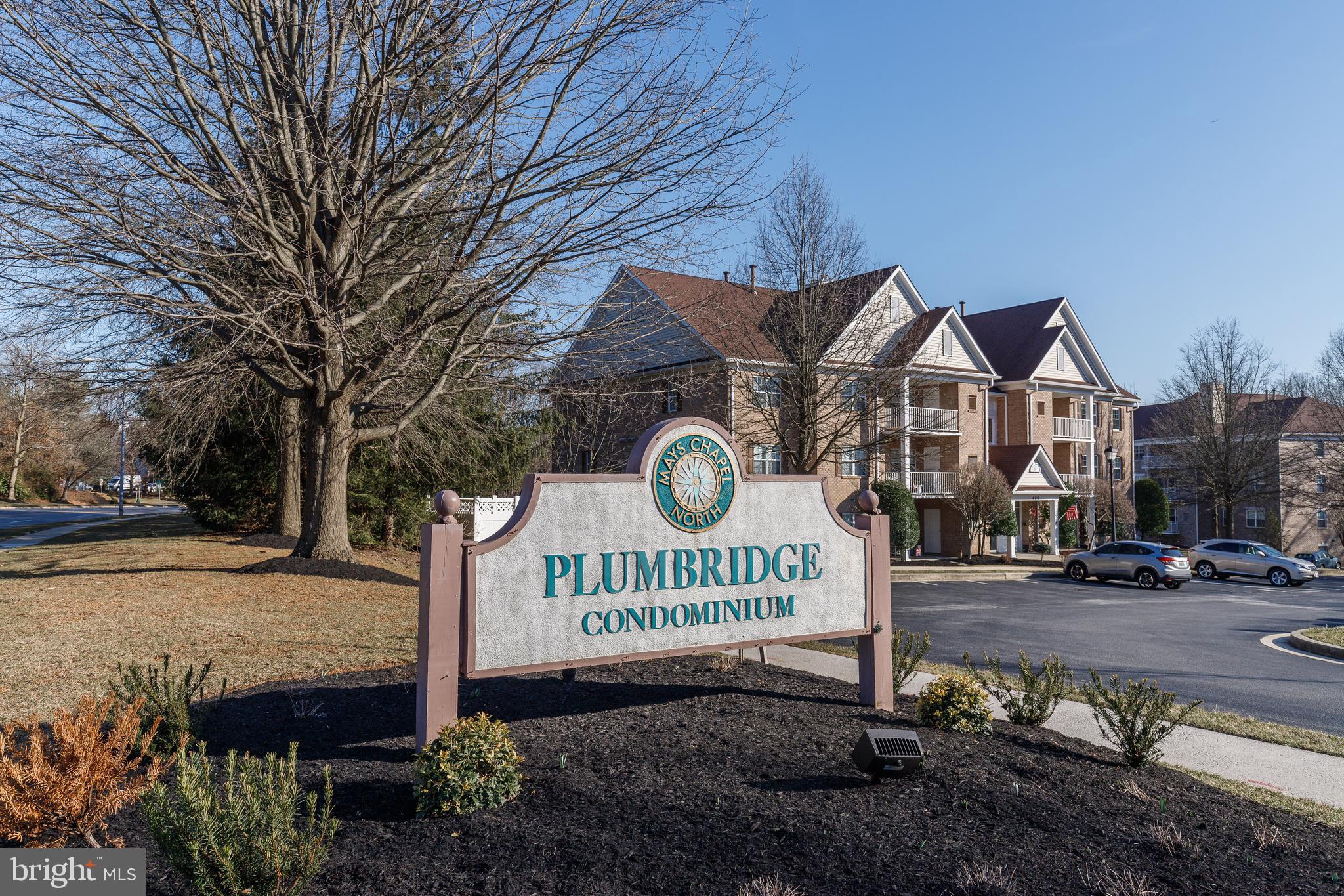 403 PLUMBRIDGE COURT 201