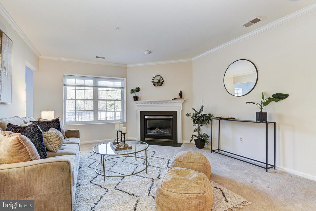 403 PLUMBRIDGE COURT 201