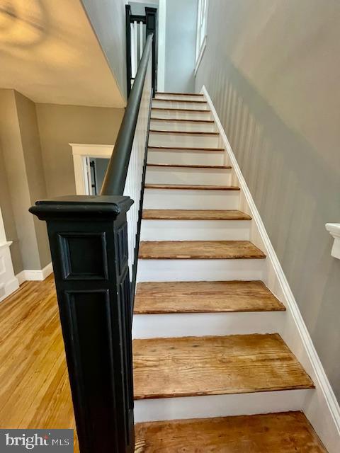 25 ELMONT AVENUE