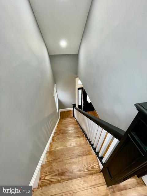 25 ELMONT AVENUE