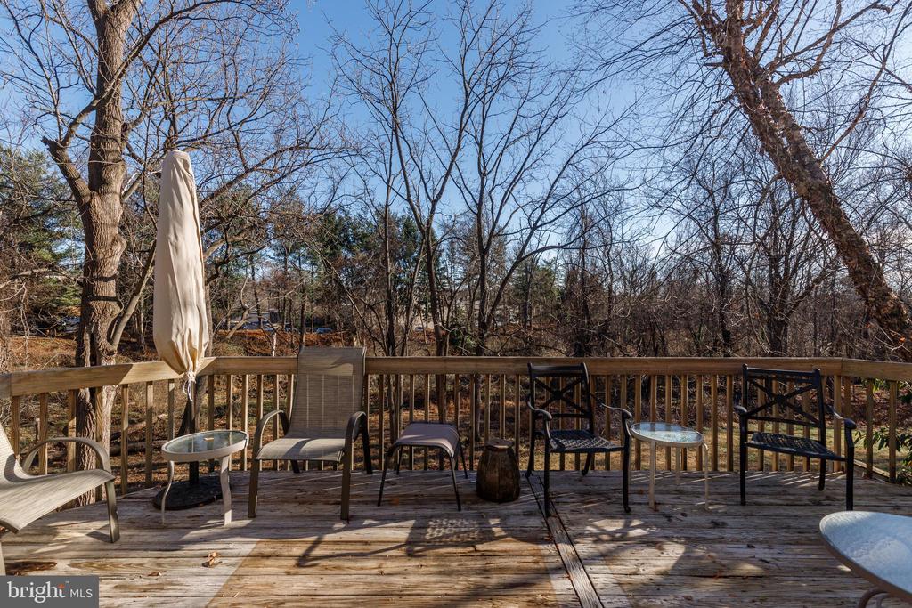 38 STAGS LEAP COURT