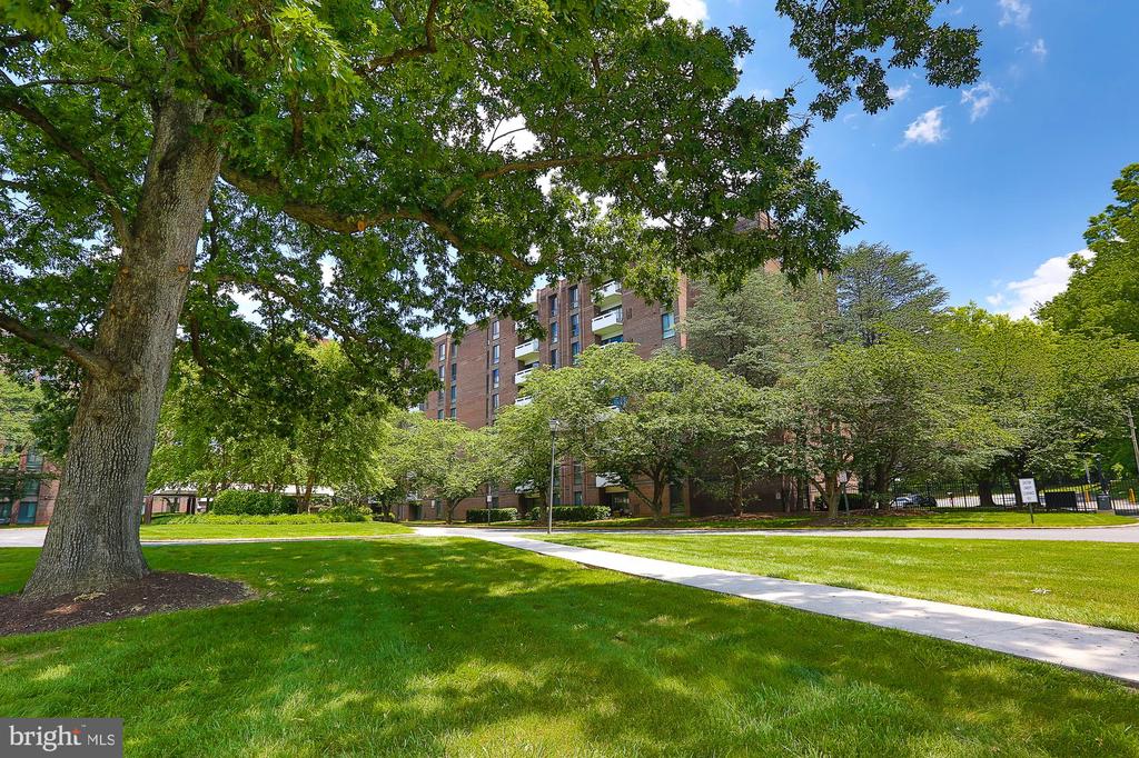 7 SLADE AVENUE 321