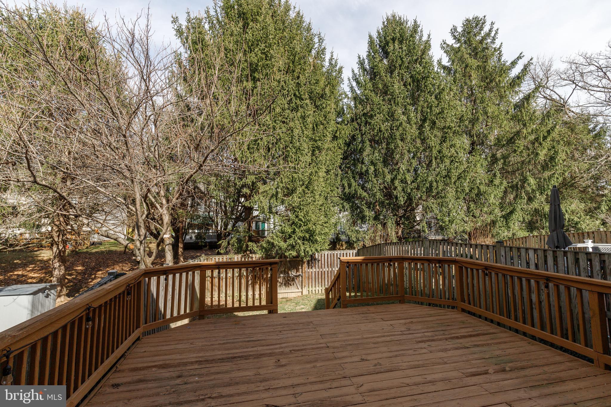 41 BATTERSEA BRIDGE COURT