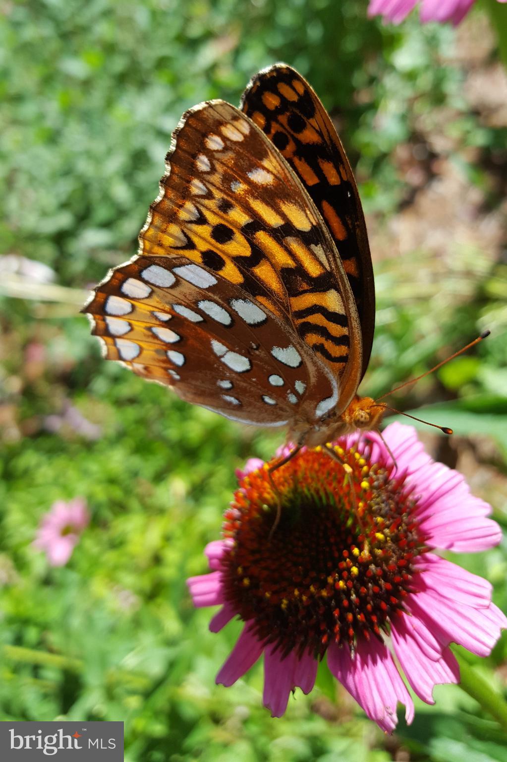 3915 LONGMOOR CIRCLE